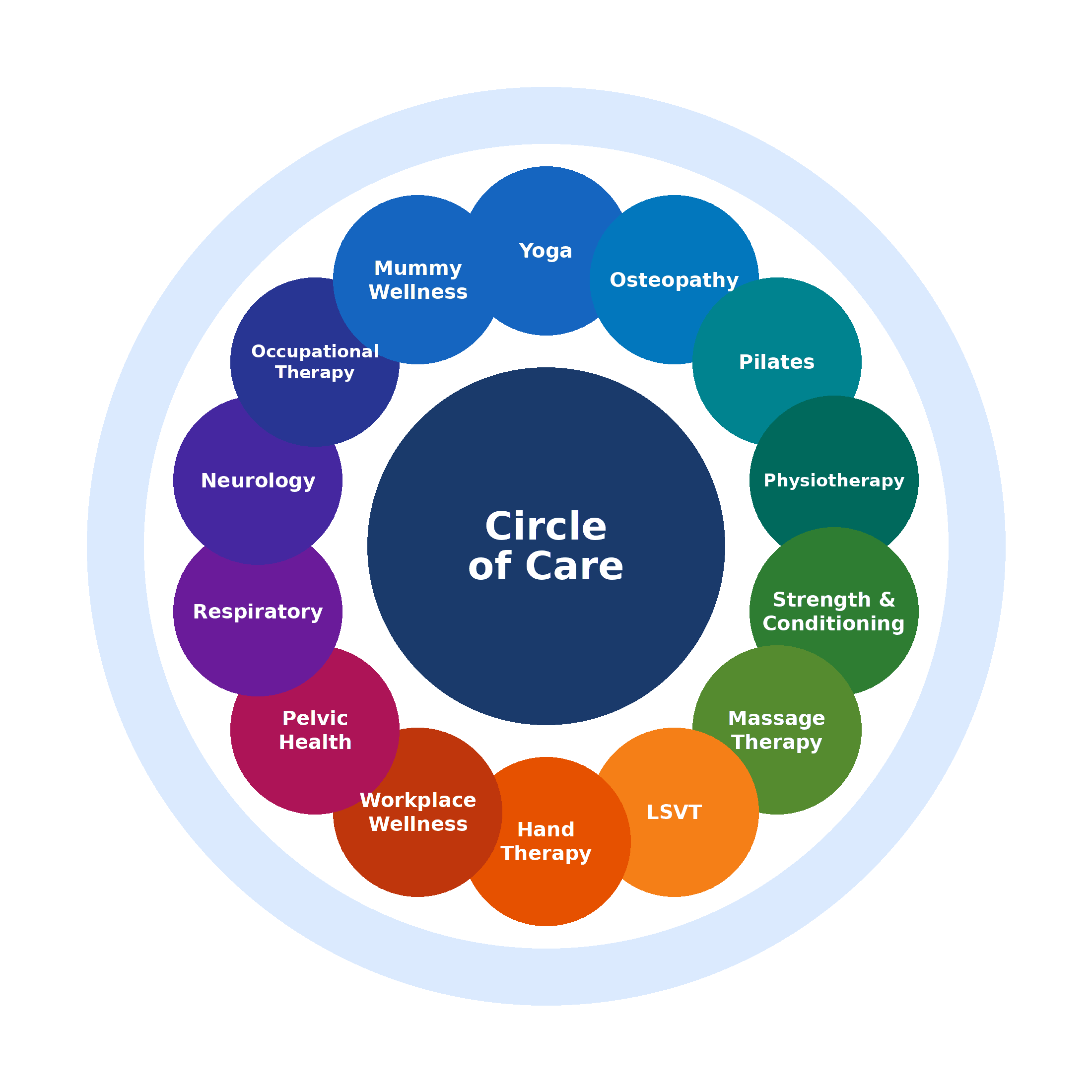Back Into Motion Circle of Care - specialist skills wheel